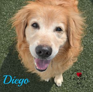 . Diego .
