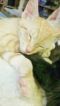 . Winifred Polydactyl .