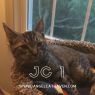 . JC 1 .