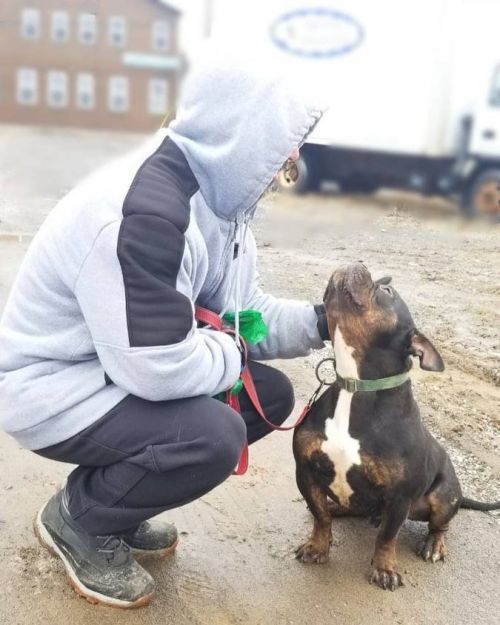 Photo of Rocky