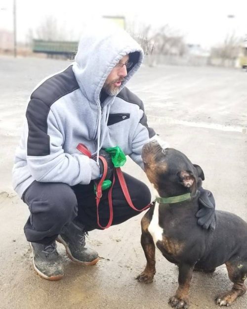 Photo of Rocky