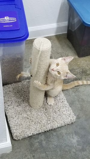 . Tom .