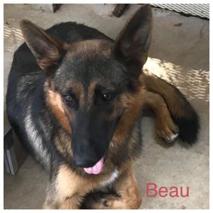 . Beau .