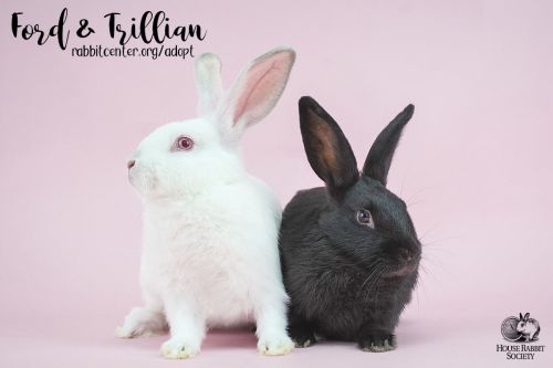 . Ford & Trillian .