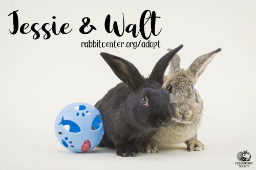 . Jessie & Walt .
