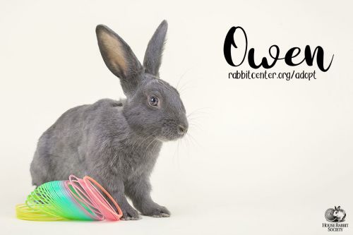 . Owen .