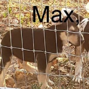 . Max .
