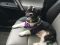 . Parker - ADOPTION PENDING .