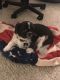 . Parker - ADOPTION PENDING .
