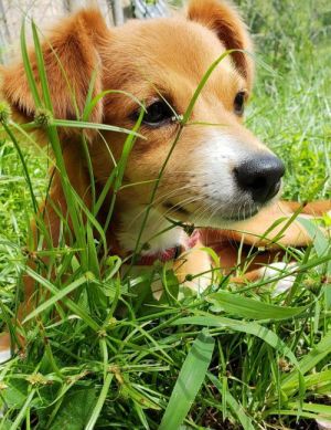 . Daisyduke .