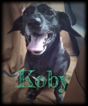 . Koby .