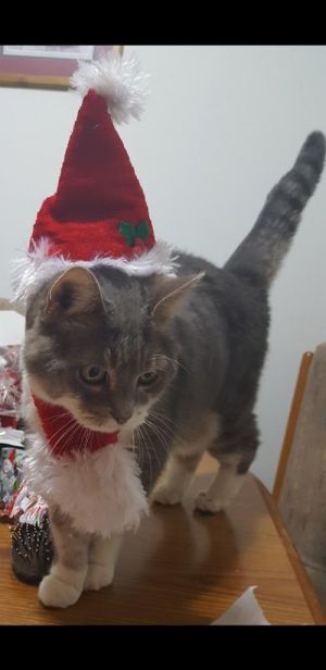 . Holly .
