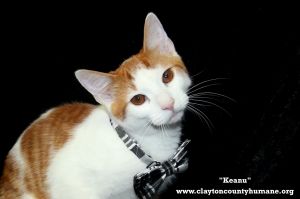 . Keanu .