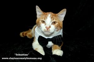 . Sebastian .