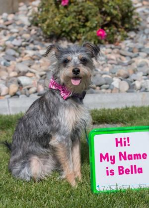 . Bella .
