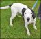 . Doc - Update from Foster Mom .