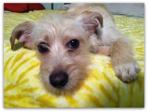 . Mollie .