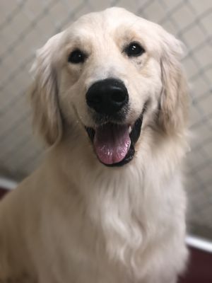 . Zeus .