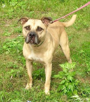 Photo of Buddy