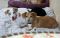. Ray Ban and Ronin - a wonderful bonded pair! .