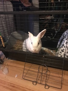 . Delilah .