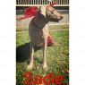 . Sadie .