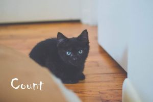 . Count .