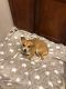 . ***COURTESY LISTING*** Dash .
