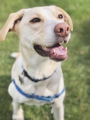 Photo of Churro