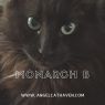 . Monarch B .