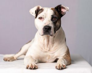 . Porkchop aka Cinder .