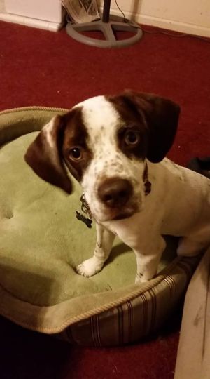 . Benny .