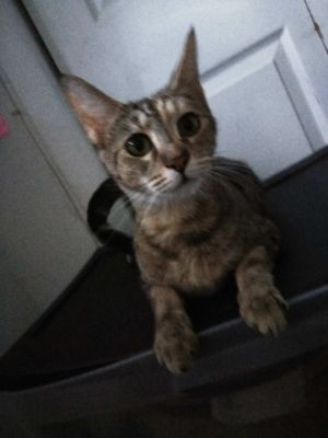 . Nana .