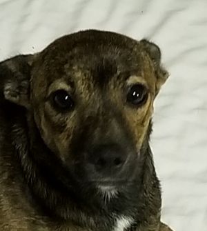 . Coco .