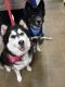. Kira (Bonded pair) .