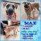 . Max .