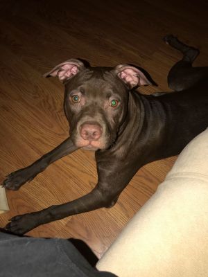 . Zoe .
