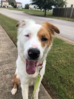 . Molly - URGENT! .