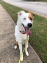 . Molly - URGENT! .