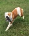 . Molly - URGENT! .