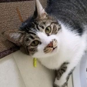 . Max .