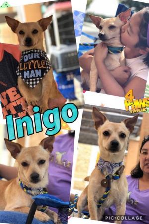 . Inigo .