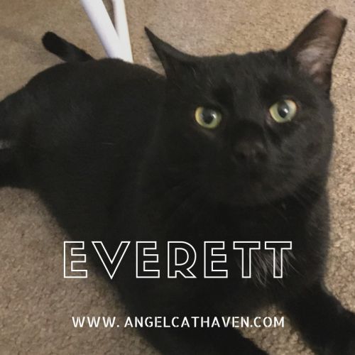 . Everett .