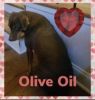 . Olive .