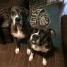 . Coco & Oskar .