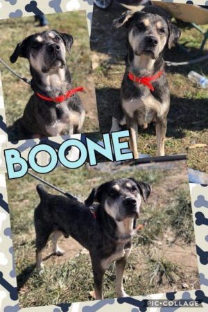 . Boone .