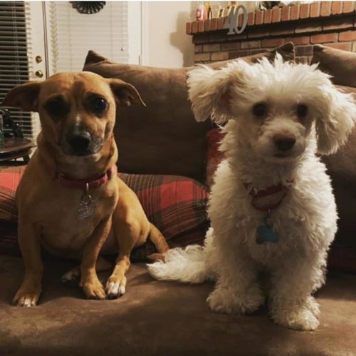 . Coco .