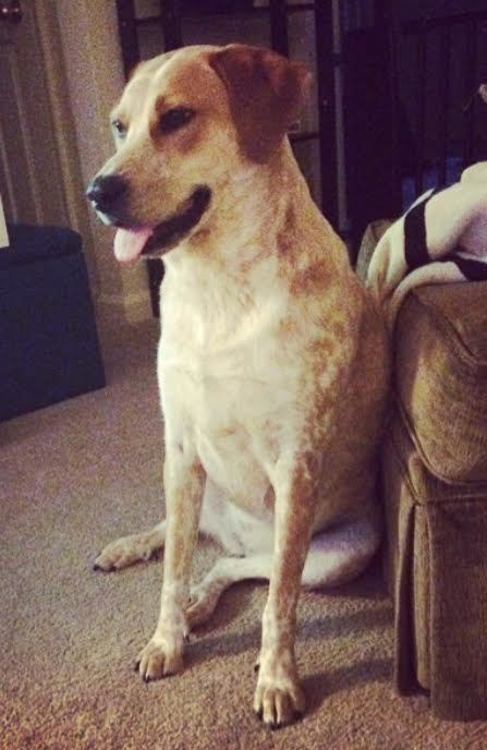 . Zelly - URGENT! .