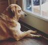 . Zelly - URGENT! .