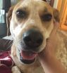 . Zelly - URGENT! .